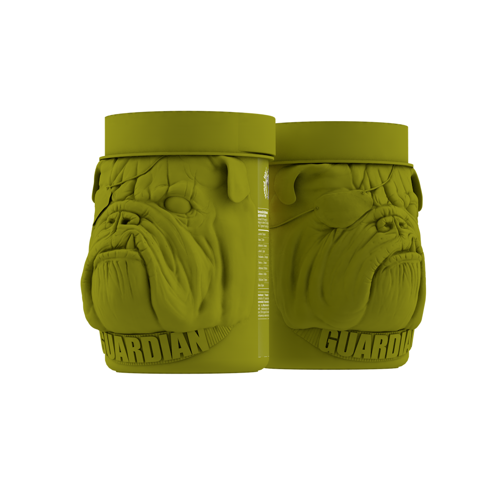 Zoomad Labs Care Taker Essential Aminos 450g