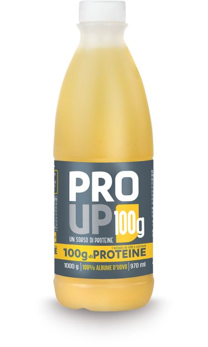 Pro Up Eiklar- 970ml