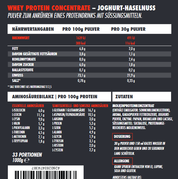 Big Zone Battle Whey - 1000g