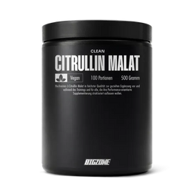 Big Zone Citrullin Malat 500g