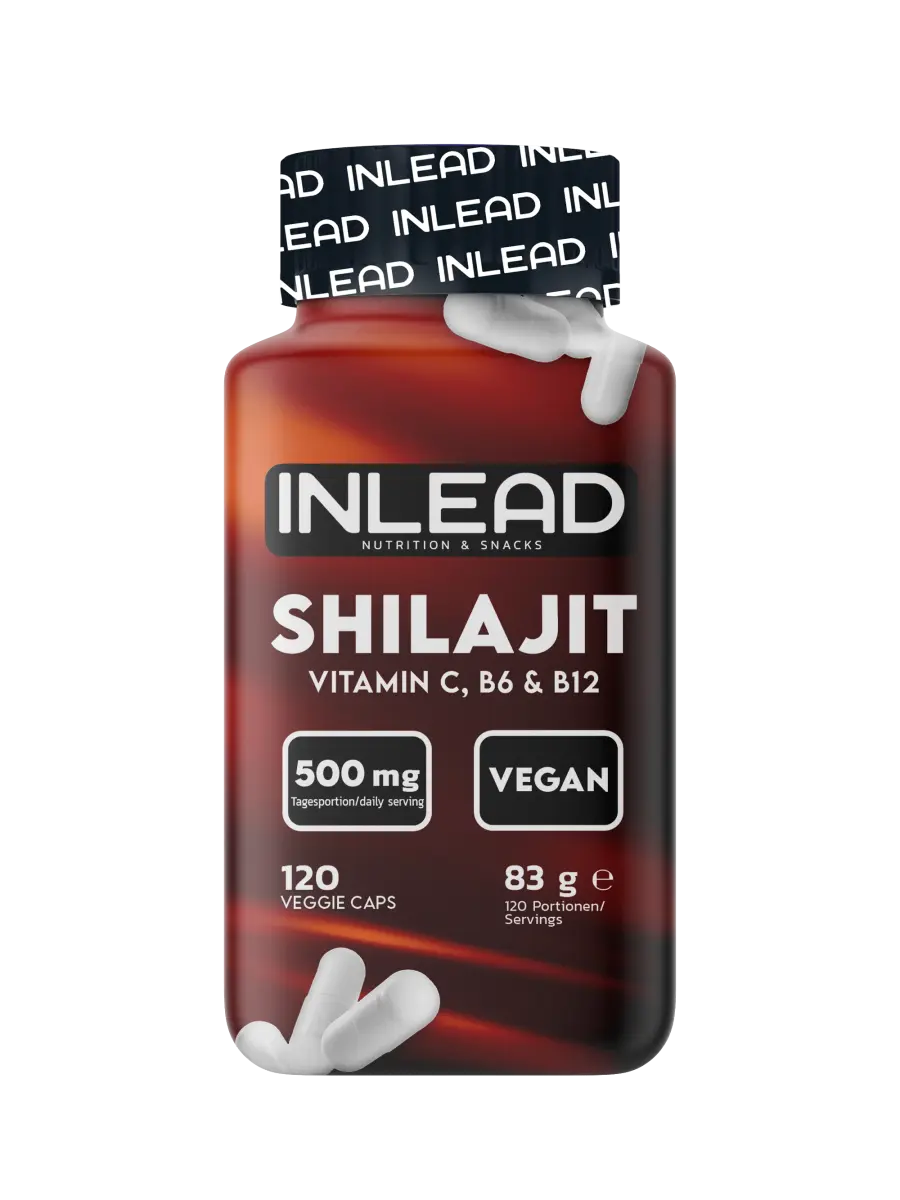 Inlead Shilajit - 120 Kapseln