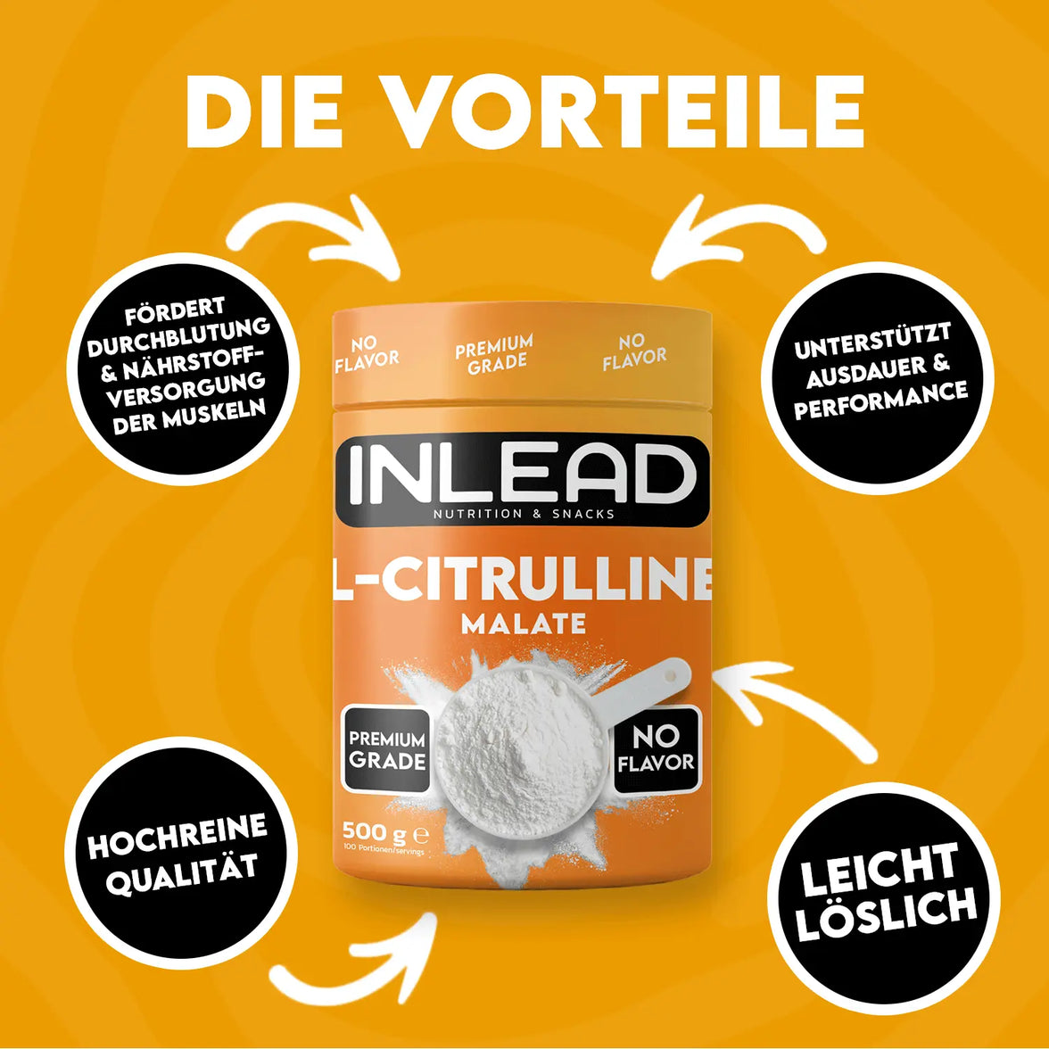Inlead L-Citrullin Malat 500g