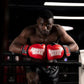 Gorilla Wear Ashton Pro Boxing Gloves - Rot/Schwarz