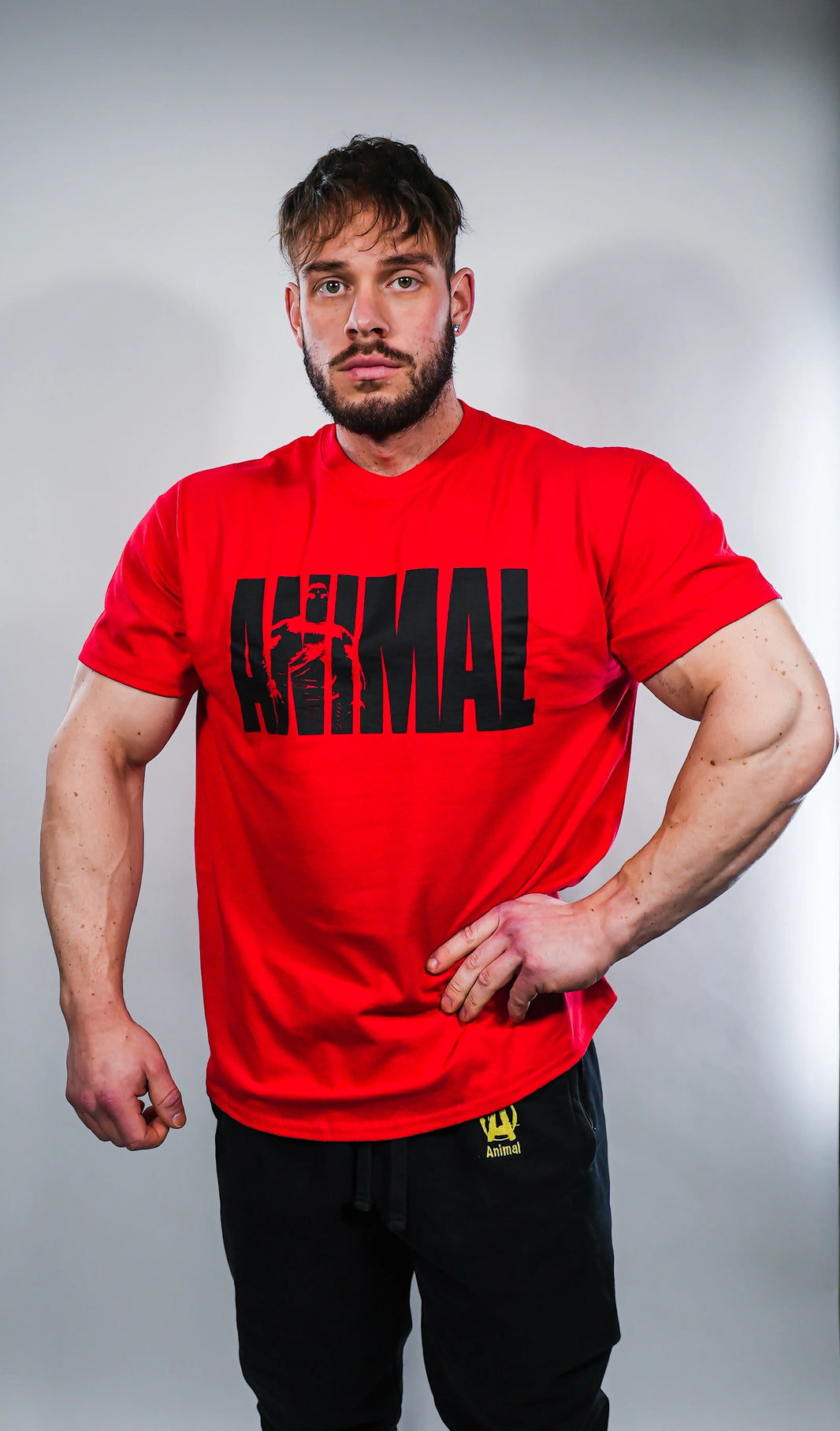 Animal Iconic T-Shirt - Rot