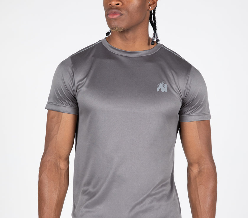 Gorilla Wear Washington T-Shirt - Grau